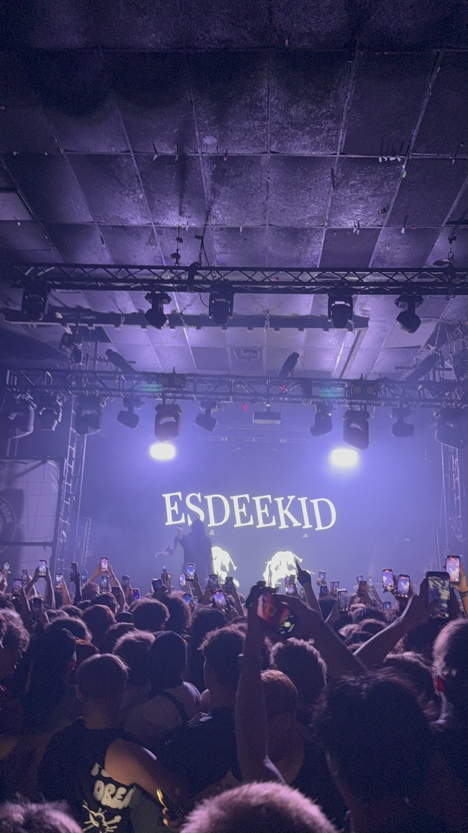 EsDeeKid playing live